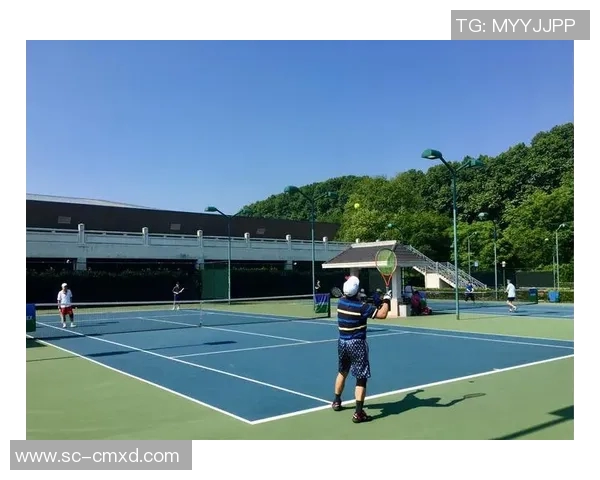 南京网球队的转型之路：从传统强队到现代化精英团队的蜕变与挑战